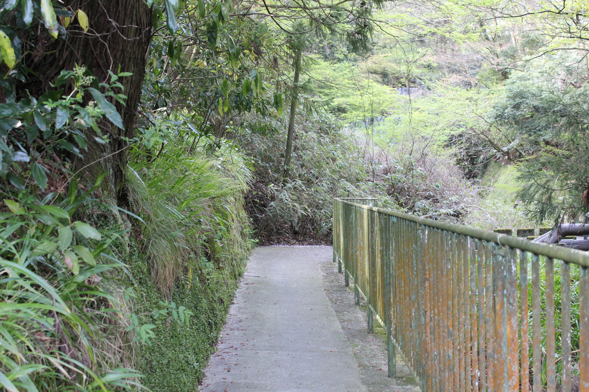 Hakone Pensión toi Exterior foto