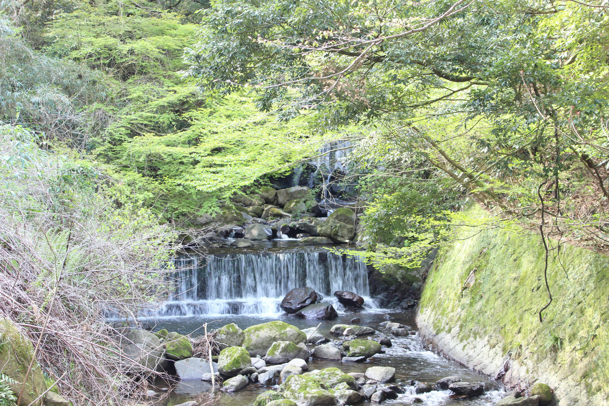 Hakone Pensión toi Exterior foto