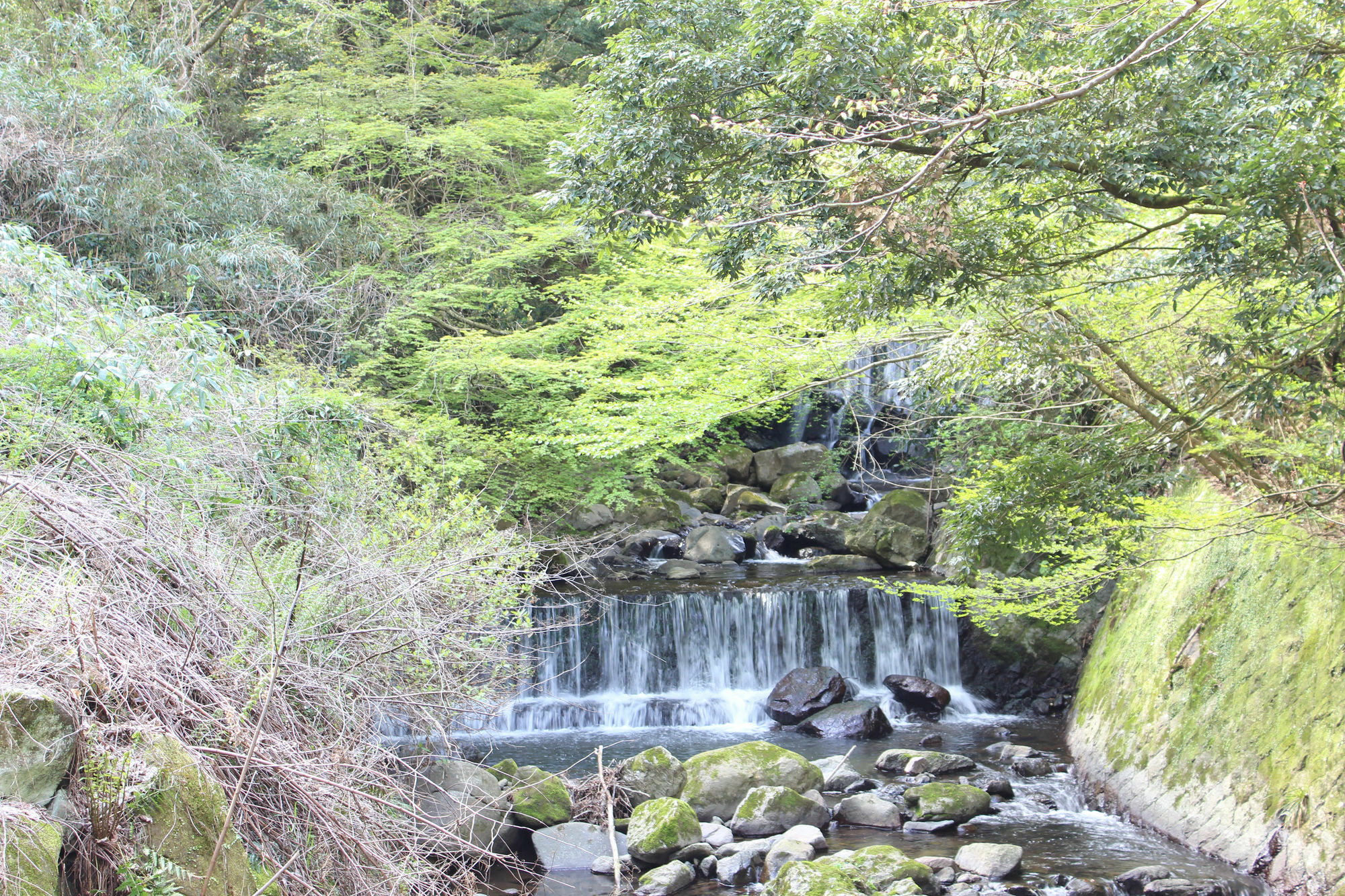 Hakone Pensión toi Exterior foto
